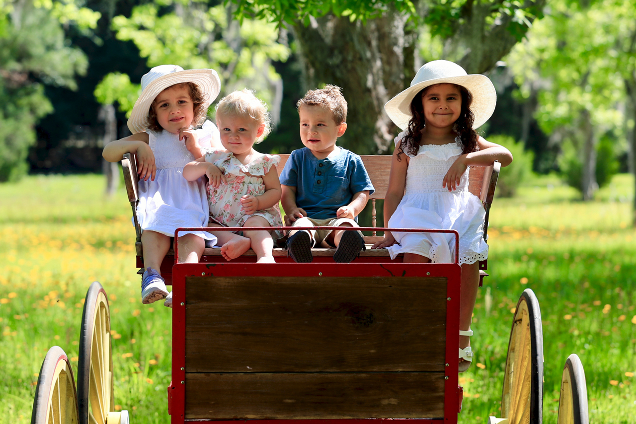 Riding-Carriage_2e76a